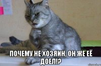  почему не хозяин, он же её доел!?