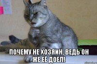  почему не хозяин, ведь он же её доел!