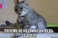  почему не хозяин? он ведь, её доел!