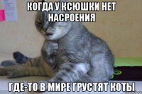Когда у ксюшки нет насроения где-то в мире грустят коты