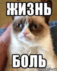 жизнь боль