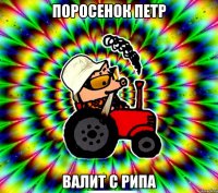 Поросенок Петр валит с РИПа