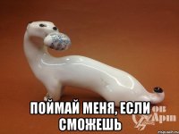  Поймай меня, если сможешь