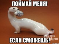 Поймай меня! Если сможешь!
