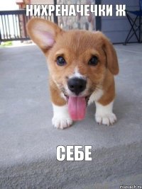 нихреначечки ж себе