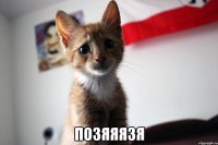  позяяязя