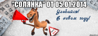 "солянка" от 05.01.2014 