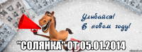  "солянка" от 05.01.2014