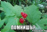 Помнишь?