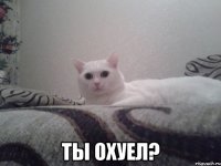  ты охуел?