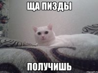 ща пизды получишь