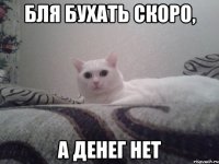 бля бухать скоро, а денег нет
