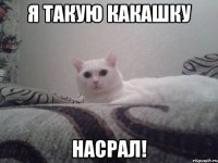 я такую какашку насрал!