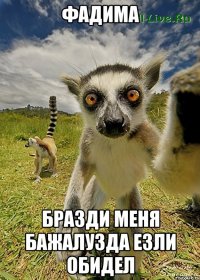Фадима Бразди меня бажалузда езли обидел