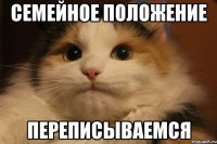 семейное положение переписываемся