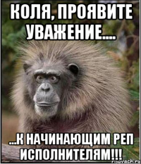 Коля, проявите уважение.... ...к начинающим реп исполнителям!!!