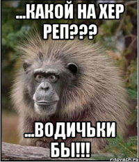 ...какой на хер реп??? ...водичьки бы!!!