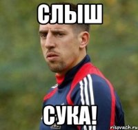 Слыш Сука!