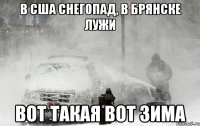 В США снегопад, в брянске лужи Вот такая вот зима