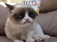 ерлан 