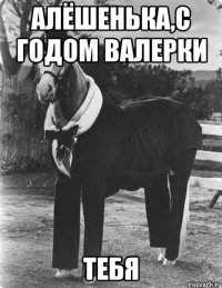 Алёшенька,с годом Валерки ТЕБЯ