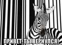  привет, ты вернулся!
