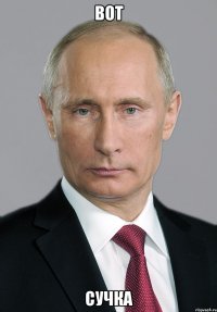 вот сучка