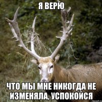 я верю что мы мне никогда не изменяла, успокойся
