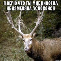я верю что ты мне никогда не изменяла, успокойся 
