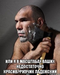  Или я в масштабах Ваших недостаточно красив?Ржучик Ладежский