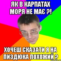 як в Карпатах моря не має ?! хочеш сказати я на пиздюка похожий ?