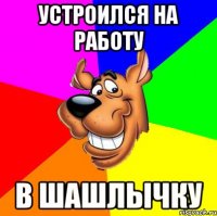 устроился на работу в шашлычку