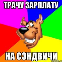 трачу зарплату на сэндвичи