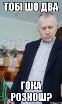 тобі шо два гока розкош?
