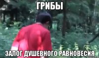 грибы залог душевного равновесия