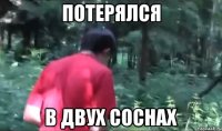 потерялся в двух соснах
