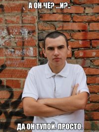 а он чё? ...и?.. да он тупой. просто.
