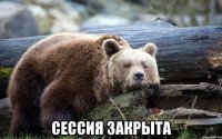  Сессия закрыта