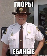 глоры ебаные