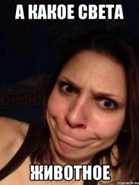 А какое света Животное