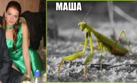 маша 
