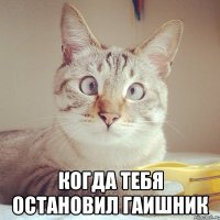  когда тебя остановил гаишник