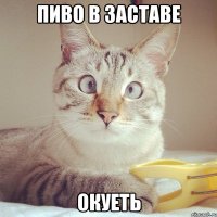 пиво в заставе ОКУЕТЬ