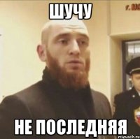 шучу не последняя