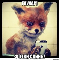 Гаухар! Фотки скинь!