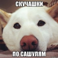 Скучашки По сашулям