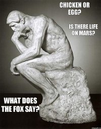 Chicken or egg? Is there life on Mars? What does the fox say?