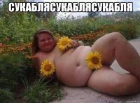сукаблясукаблясукабля 