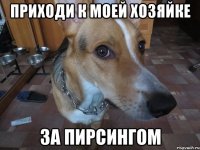 приходи к моей хозяйке за пирсингом
