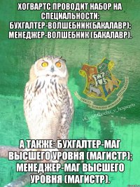 Хогвартс проводит набор на специальности: бухгалтер-волшебник(бакалавр); менеджер-волшебник (бакалавр). А также: бухгалтер-маг высшего уровня (магистр); менеджер-маг высшего уровня (магистр).